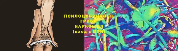 спиды Пересвет