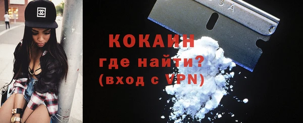 спиды Пересвет