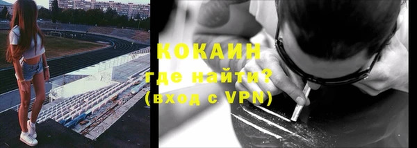 спиды Пересвет