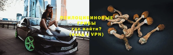 спиды Пересвет