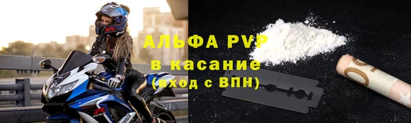 спиды Пересвет