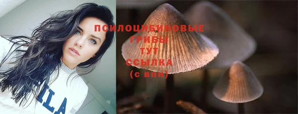 спиды Пересвет