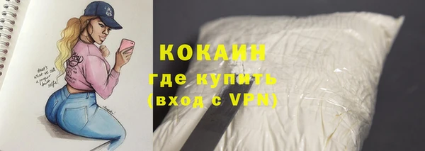 спиды Пересвет