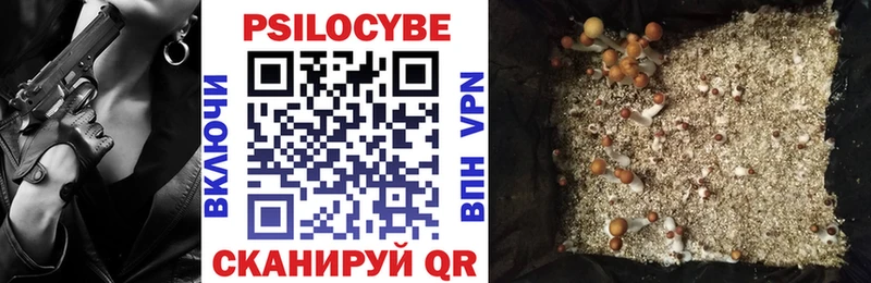 где купить наркотик  Тавда  Псилоцибиновые грибы мицелий 