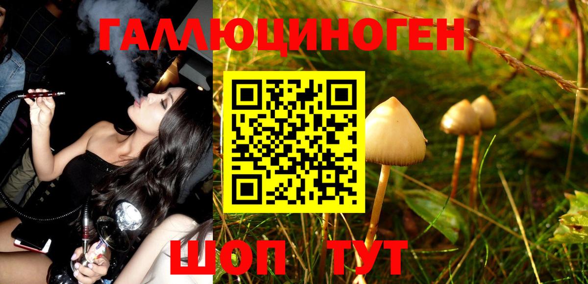Галлюциногенные грибы GOLDEN TEACHER Тавда